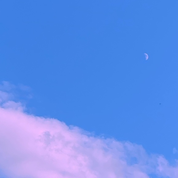 Meet your Posher, Samantha - Picture 1 of 1